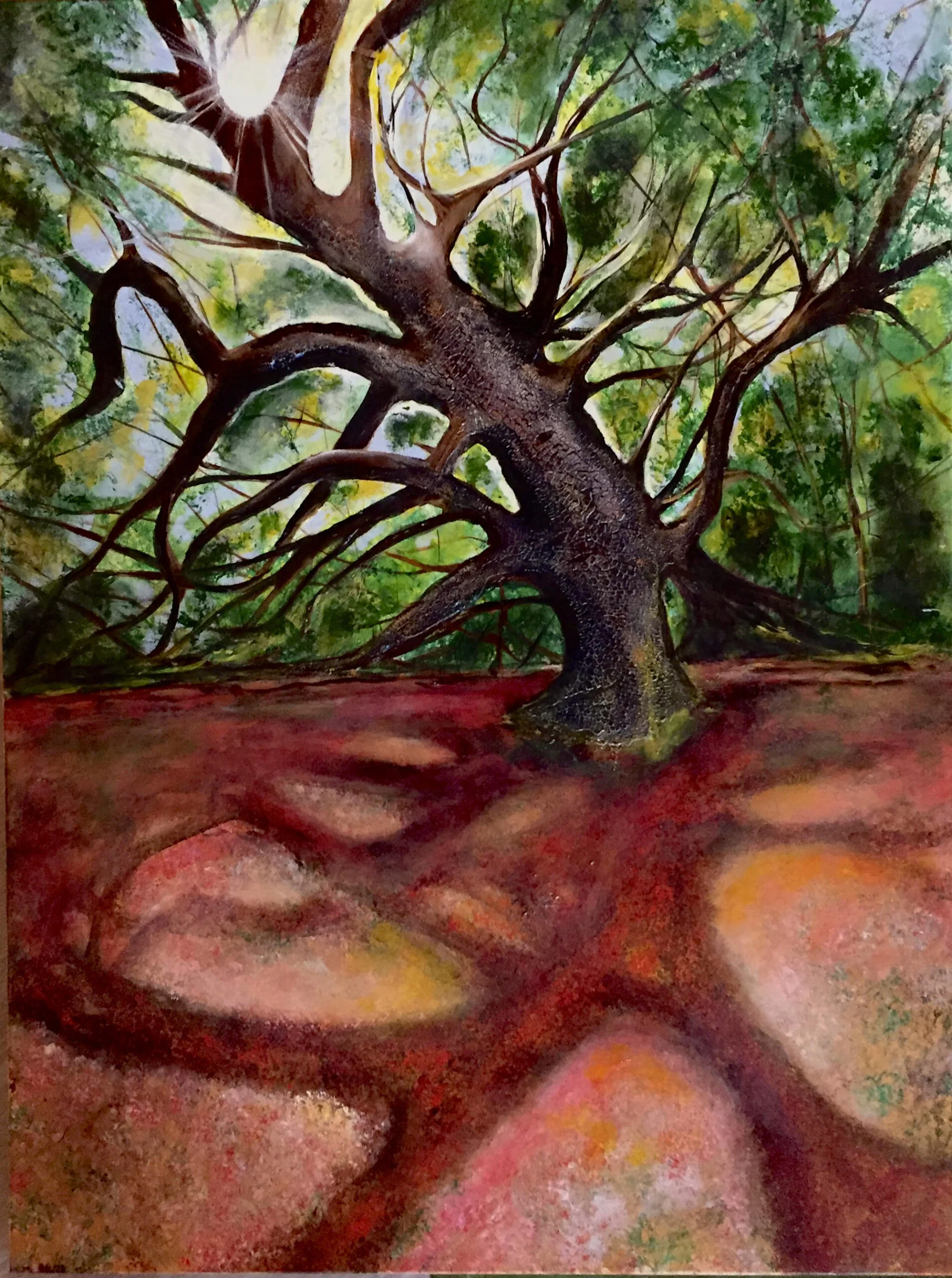 Shadow of Angel Oak