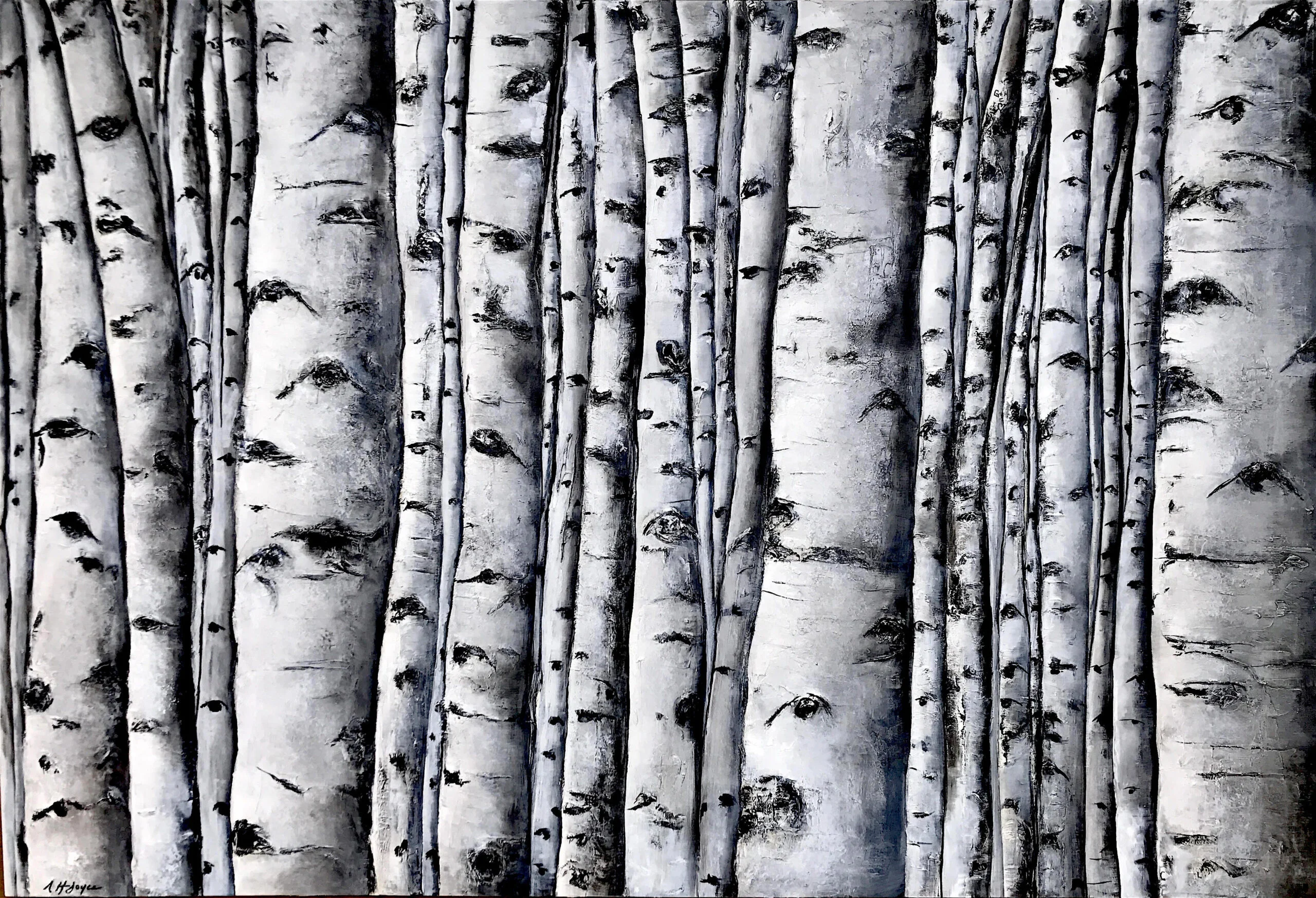 Aspen Trees