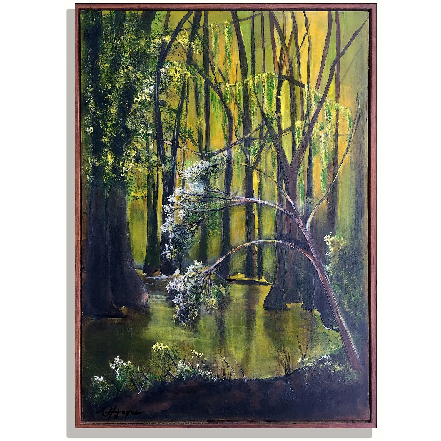 Blackwater Cypress Swampscape