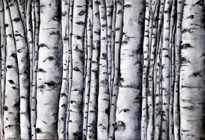 "Aspen Trees"
