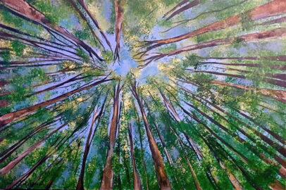 "Cypress Ceiling"