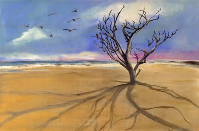 "Salt, Sun & Time"