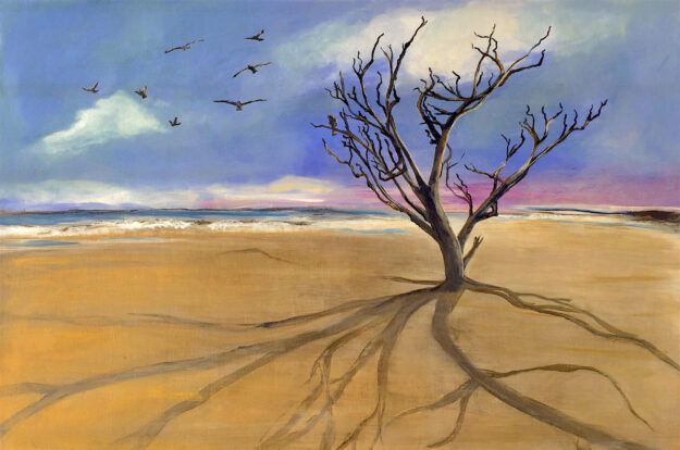 "Salt, Sun & Time"