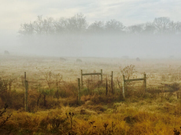 unnamed-2