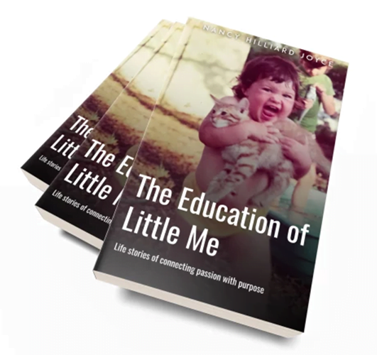 The Education of Little Me book cover