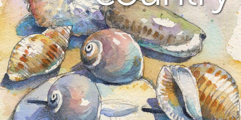 "Art in the Hall" - Carolina Country Magazine