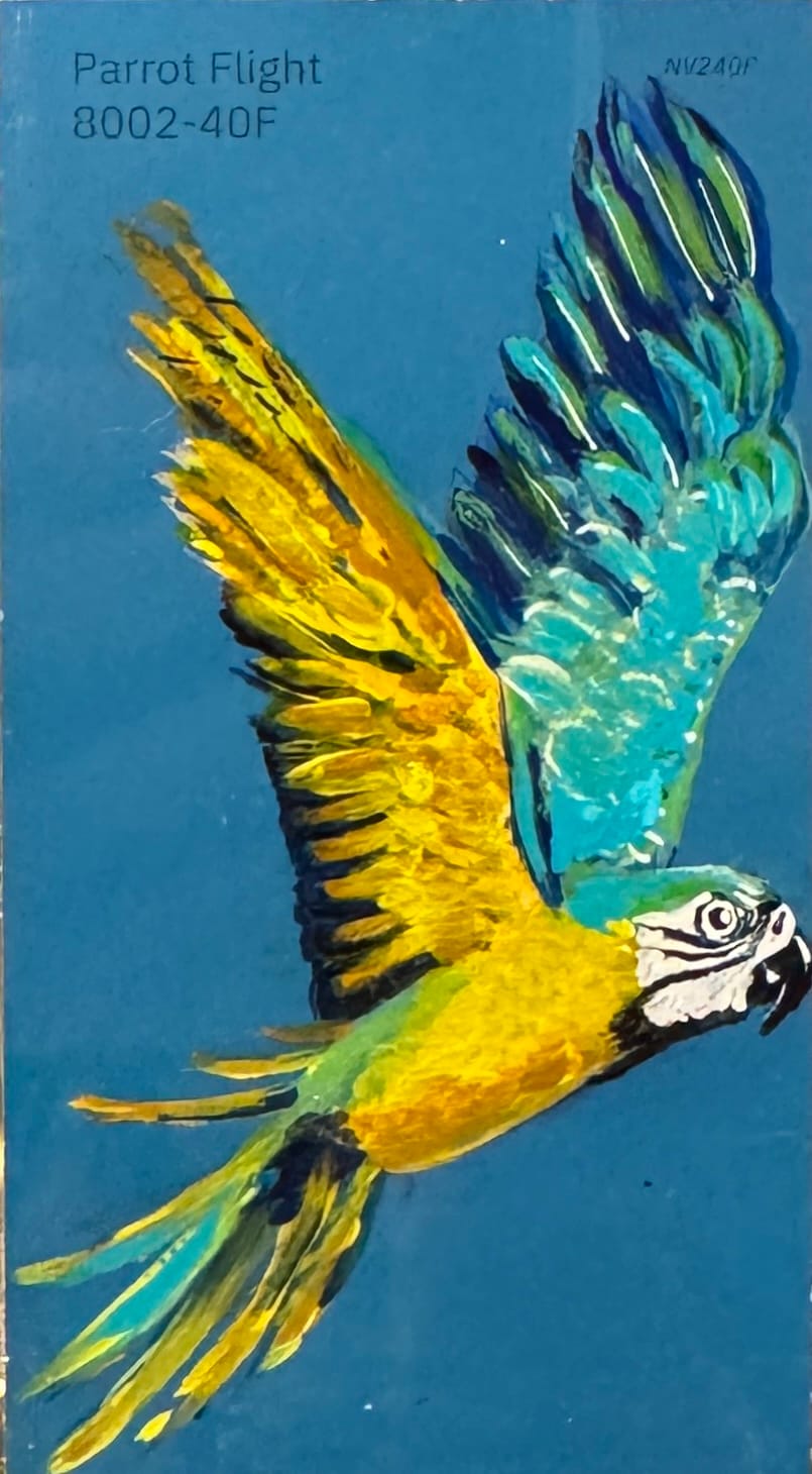 Parrot Flight - Image 3