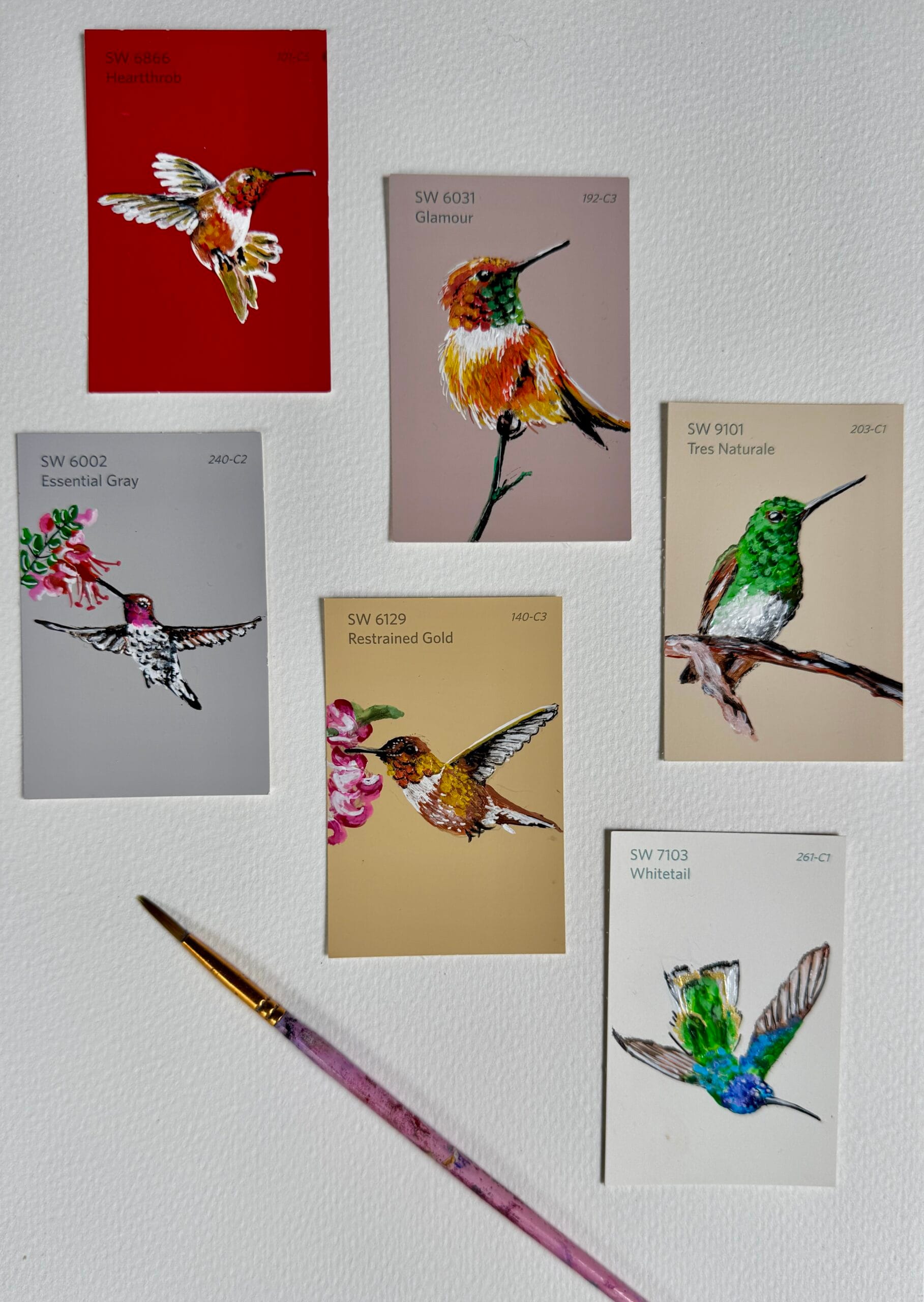 Parrot Flight - Image 5