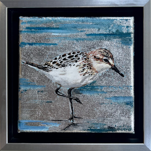 Sandpiper