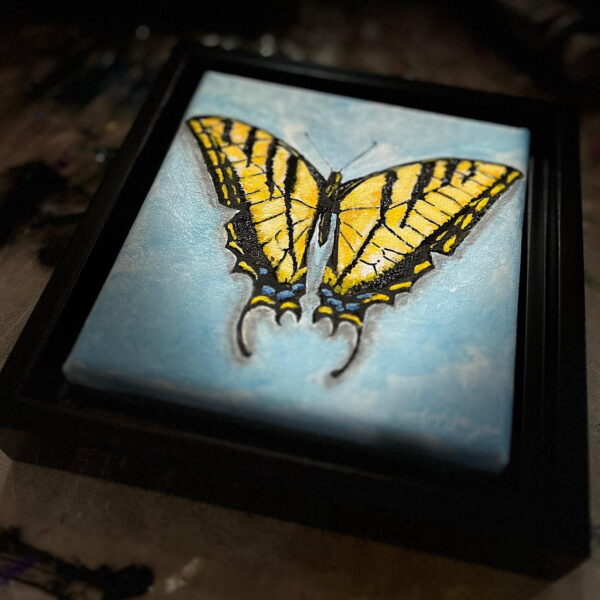 Swallowtail