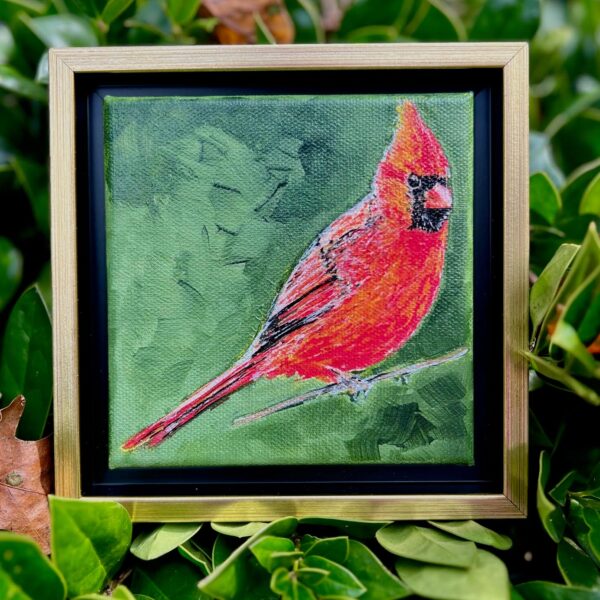 Cardinal with Green