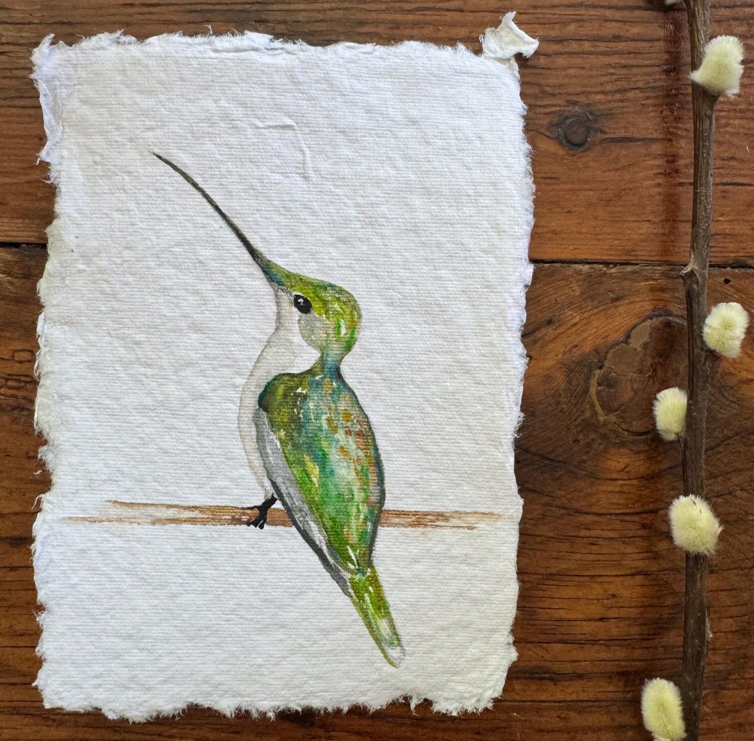 "Peace"_Emerald Hummingbird