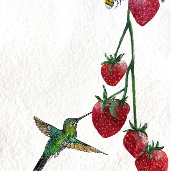 Sweet Encounter