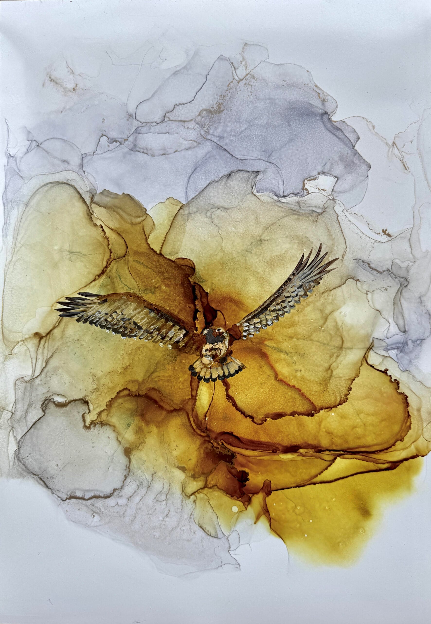 Hawk In Flight
