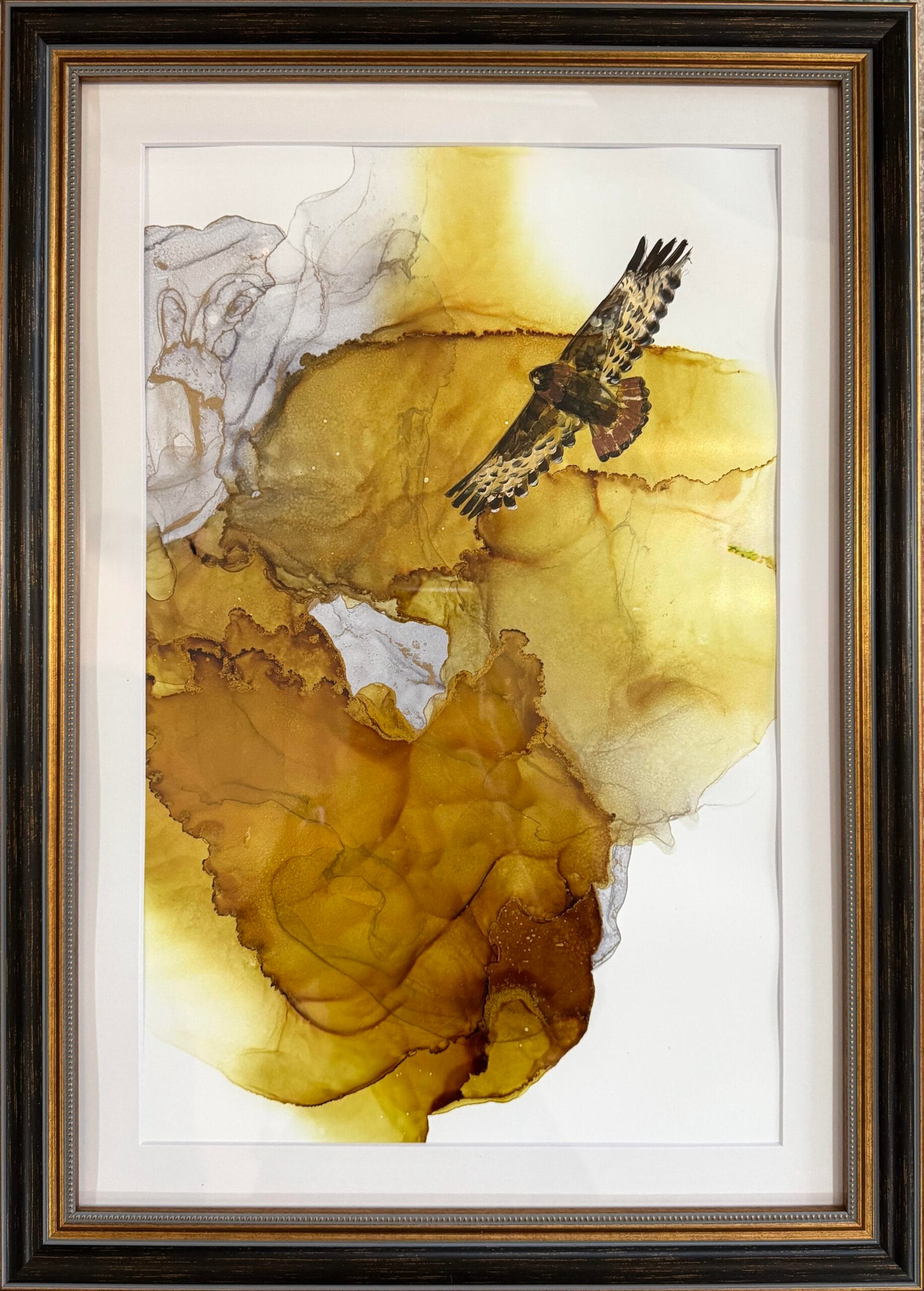 Hawk In Flight II