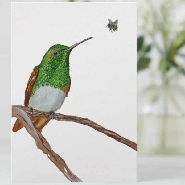Hummingbird Cards