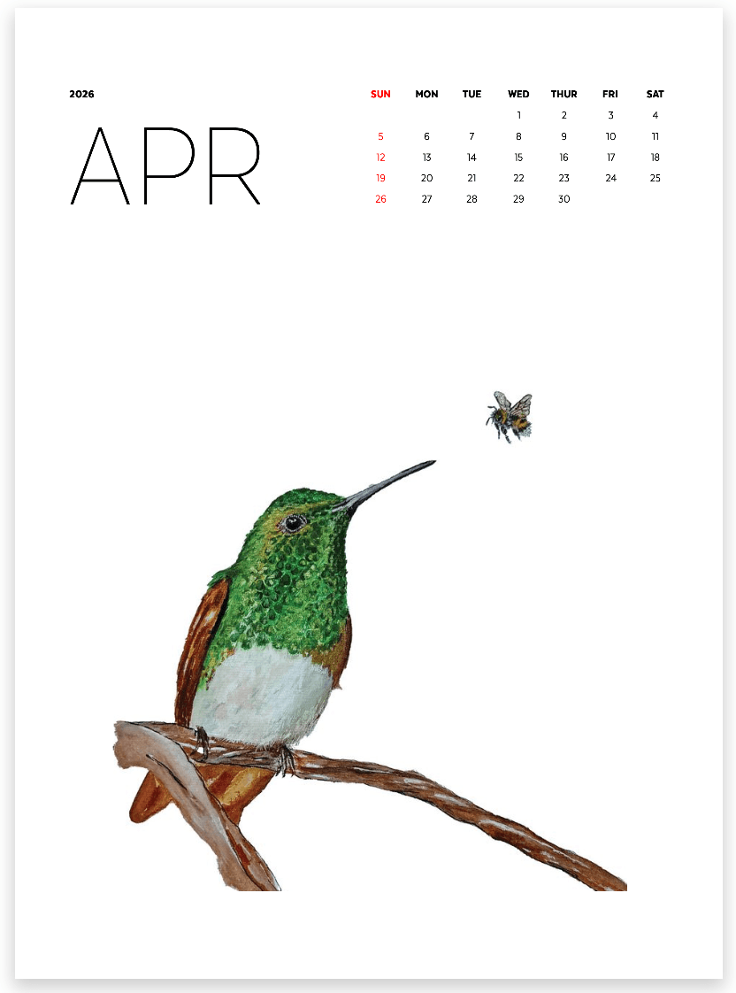 Keepsake Calendar - 14 Framable prints! - Image 5