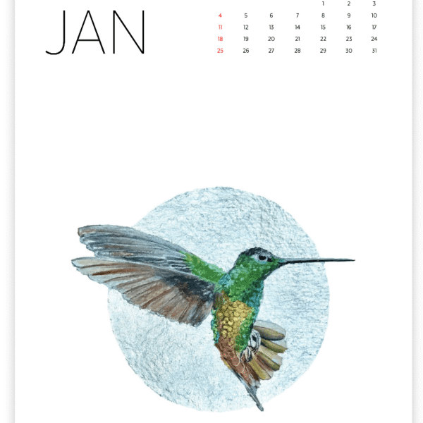 Keepsake Calendar - 14 Framable prints!