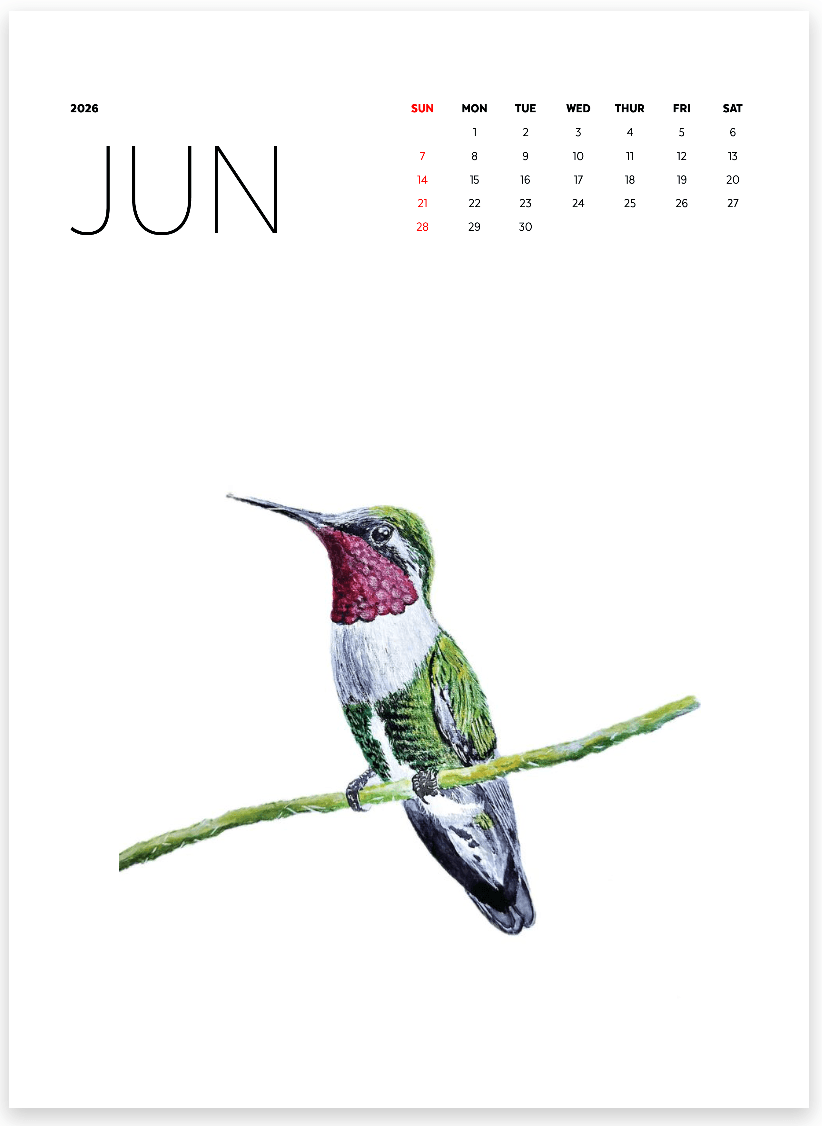 Keepsake Calendar - 14 Framable prints! - Image 7