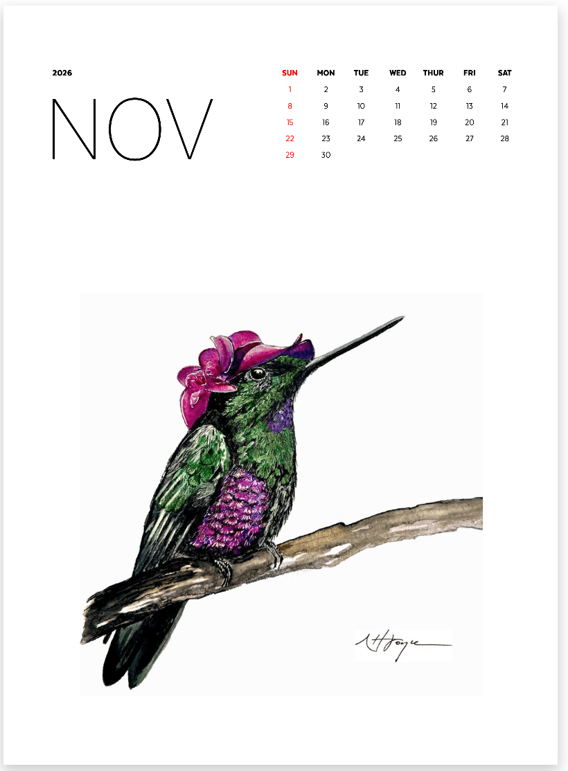 Keepsake Calendar - 14 Framable prints! - Image 12