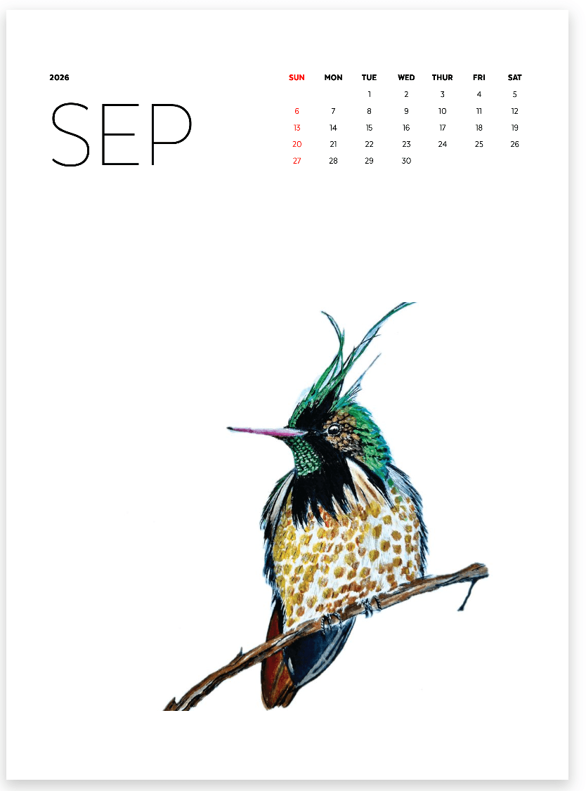 Keepsake Calendar - 14 Framable prints! - Image 10