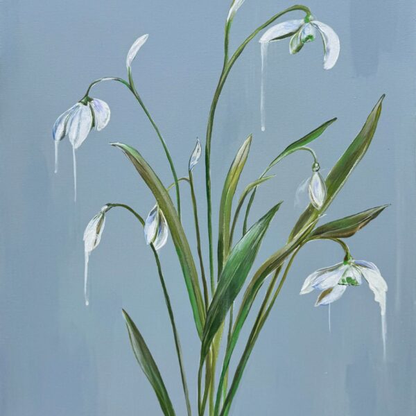 January | Snowdrop