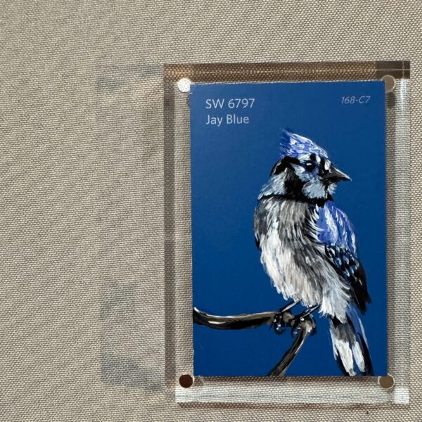 Jay Blue