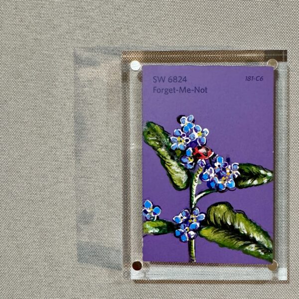 Forget-Me-Not
