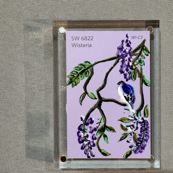 Wisteria
