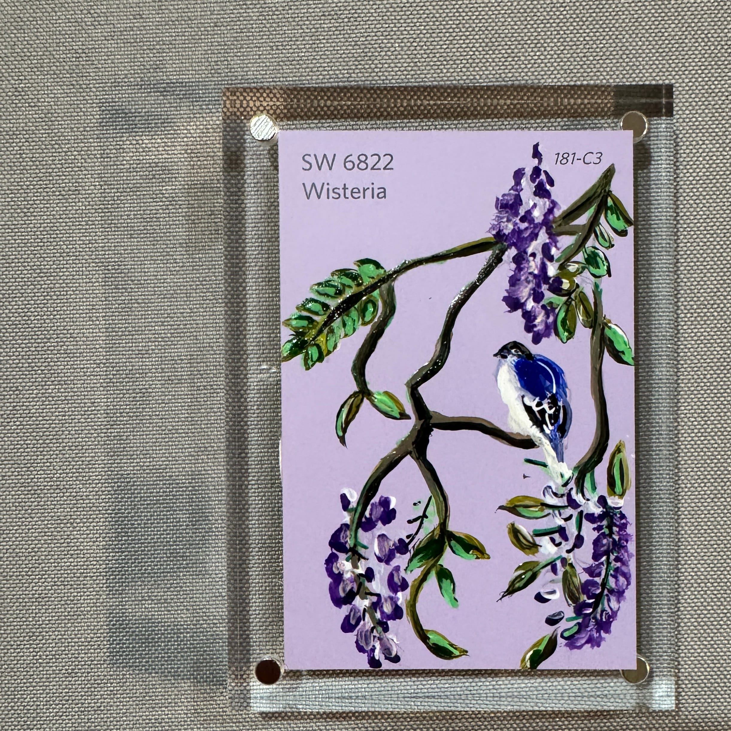 Wisteria