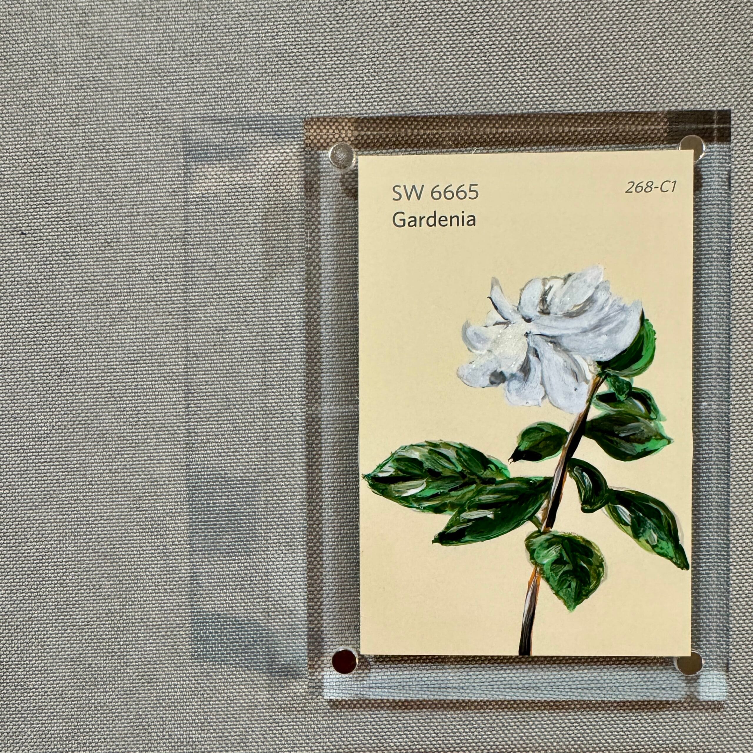 Gardenia
