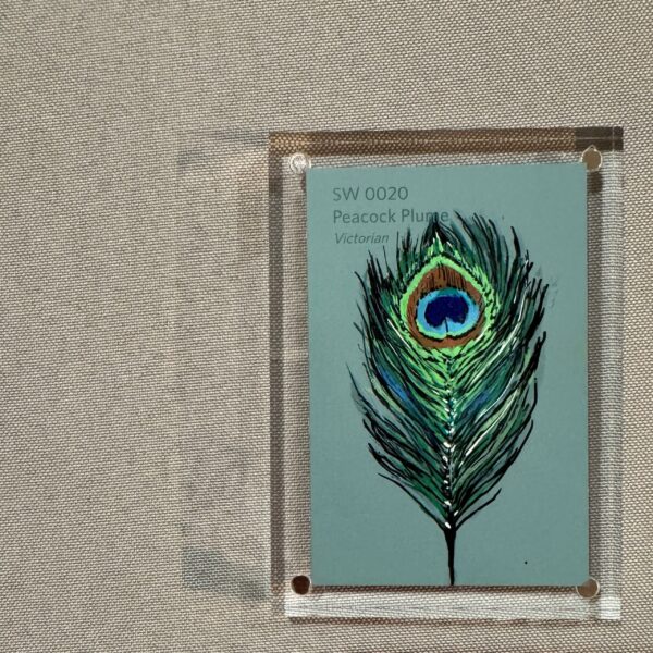 Peacock Plume
