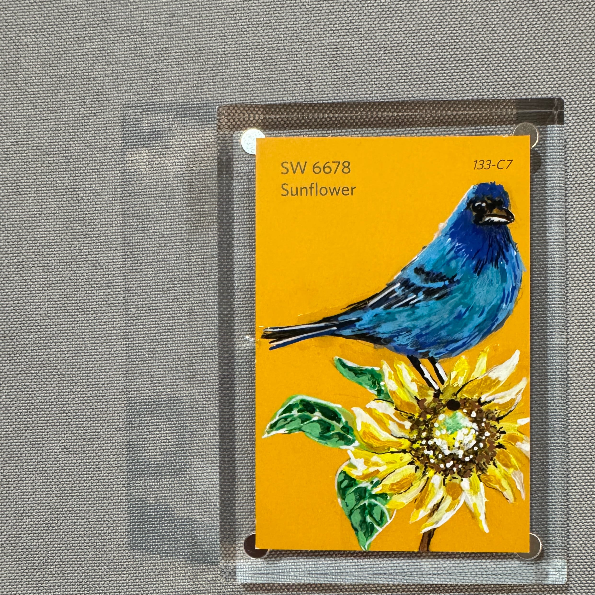 Sunflower