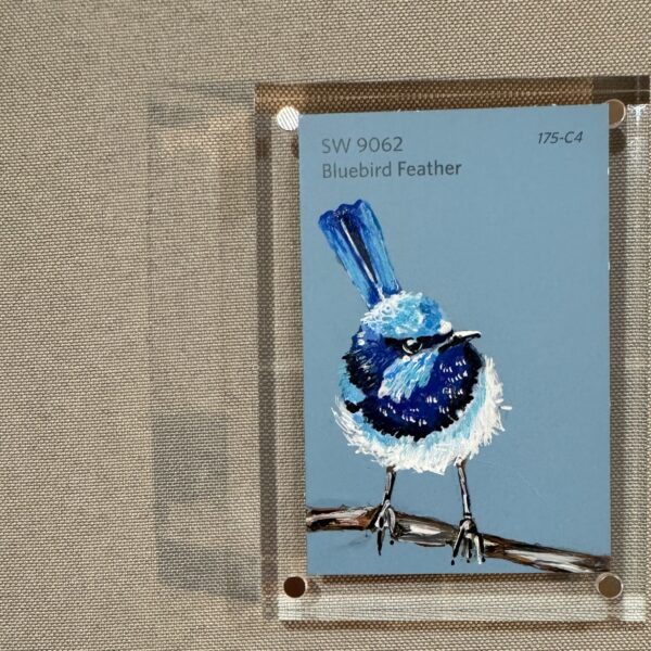 Bluebird Feather