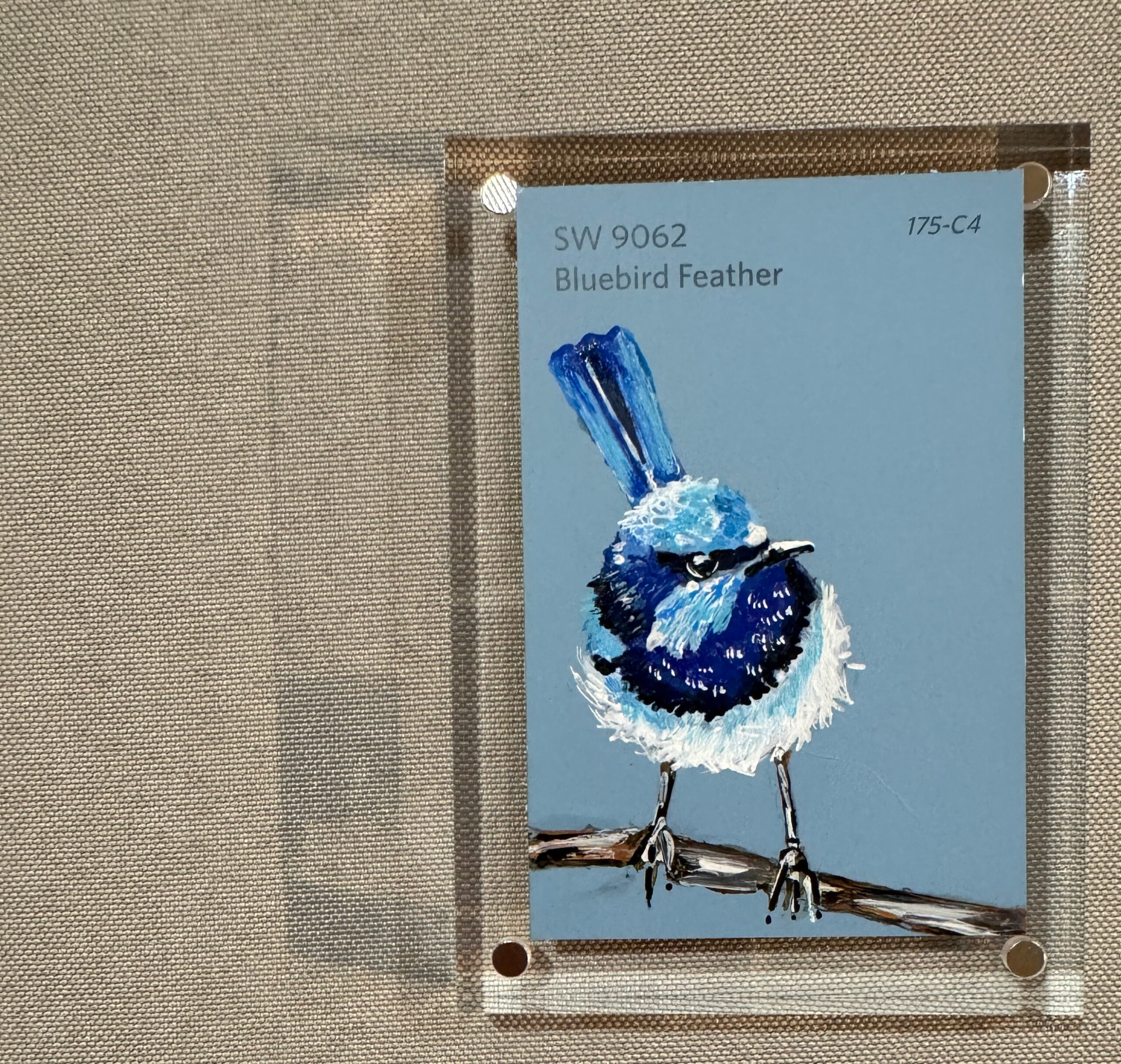 Bluebird Feather