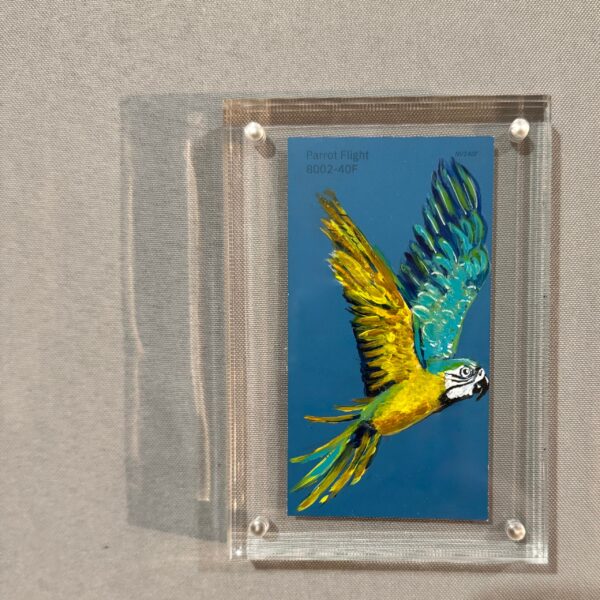 Parrot Flight