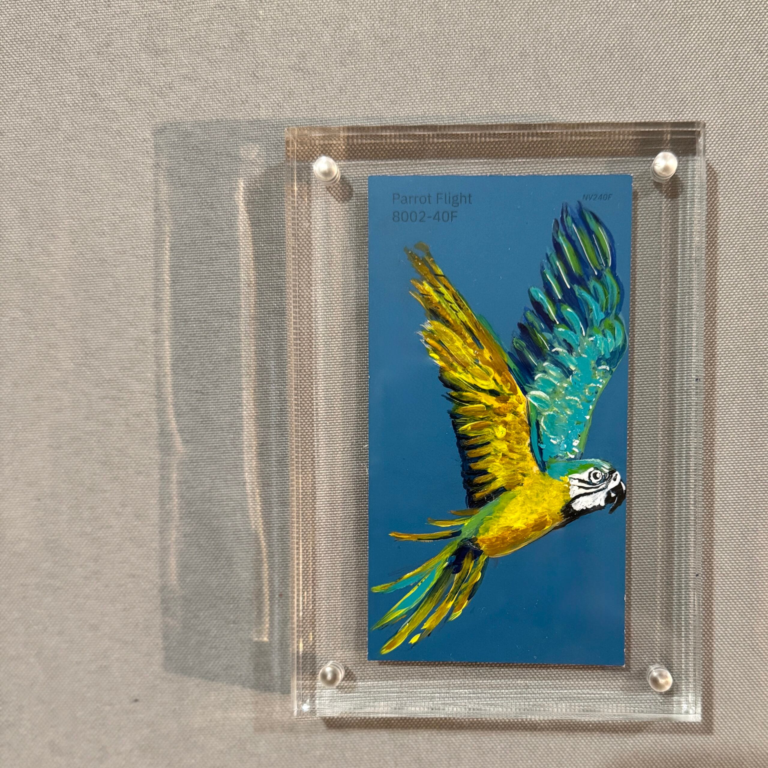 Parrot Flight