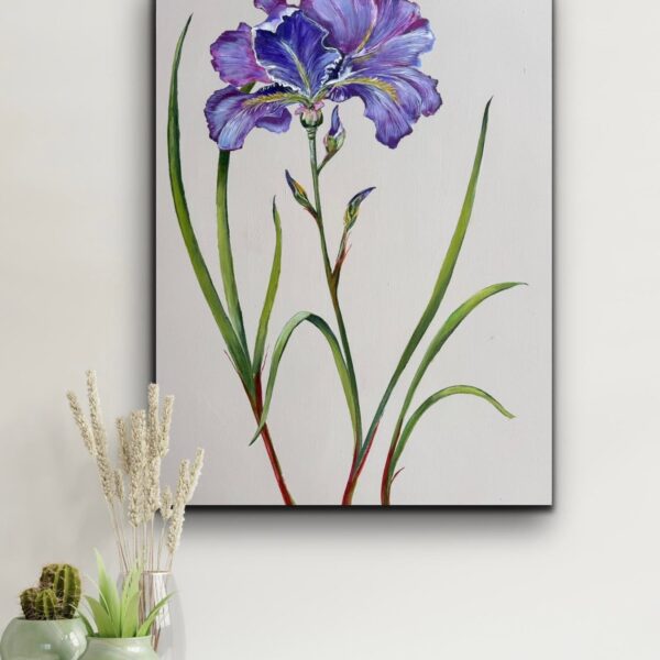 February | Iris