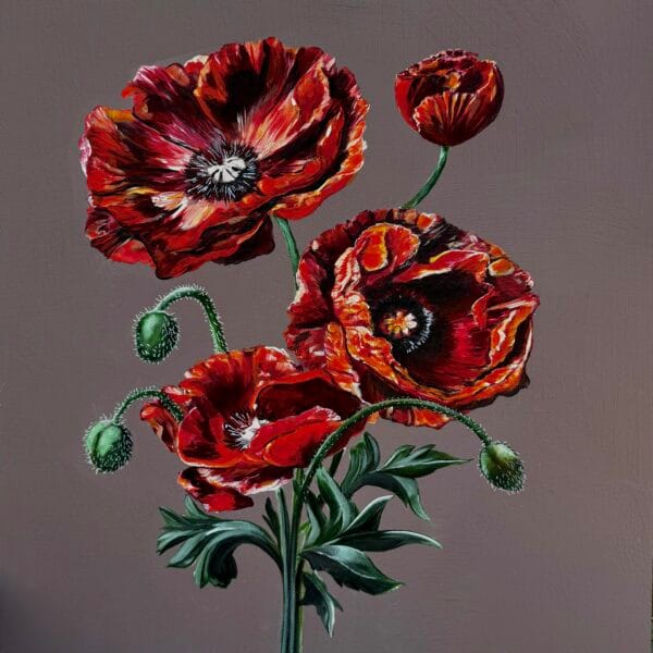 August | Poppy