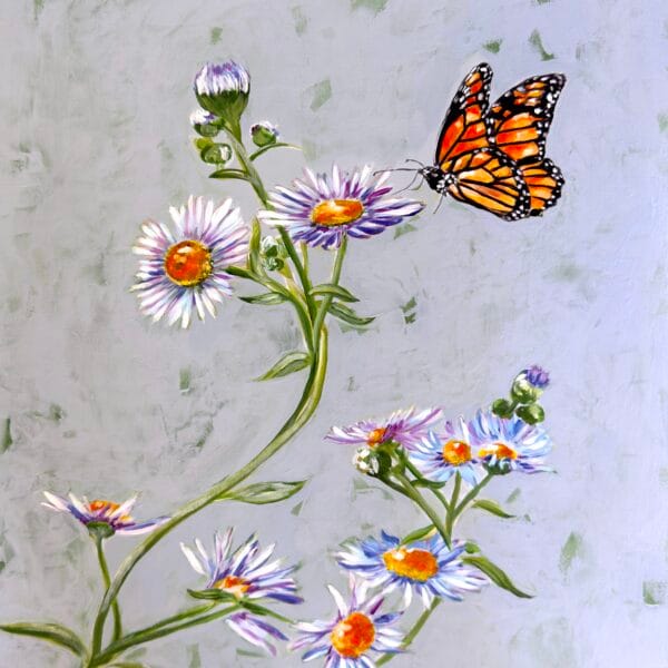 September | Wild Aster